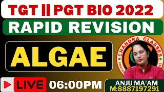 RAPID REVISION  ALGAE  TGT  PGT 2022 BIOLOGY BY ANJU MAM  Day 2 [upl. by Husain]