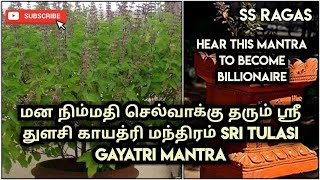 மன நிம்மதி கோடி செல்வம் தரும் ஸ்ரீ துளசி காயத்ரி மந்திரம்  SRI TULASI GAYATRI MANTRA  SS RAGAS [upl. by Grand]