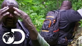 Shaquille ONeal Falls off A Cliff  Running Wild with Bear Grylls [upl. by Aimil716]