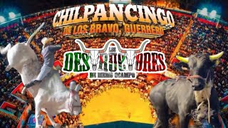 💥QUEBRADO el PUÑOS de GUERRERO  Cayo Gorrión y Rayito  21 DESTRUCTORES en CHILPANCINGO Gro 2024 [upl. by Noyes]