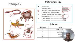 IGCSE BIOLOGY  DICHOTOMOUS KEY [upl. by Yelrihs925]