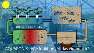 Was ist eigentlich AQUAPONIK [upl. by Gardner]