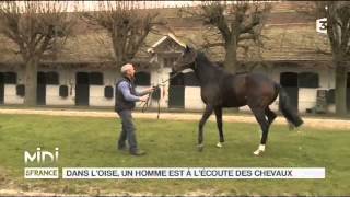 ANIMAUX  Dans lOise un homme est à lécoute des chevaux [upl. by Flemming]