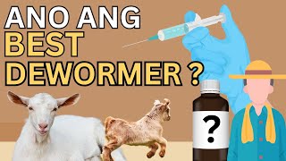 ANO ANG BEST DEWORMER [upl. by Yanaton529]