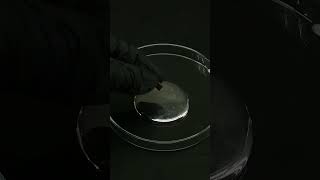 Experimenting with Mercury  The Liquid Metal [upl. by Mello]