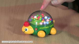 Popping Turtle [upl. by Nolana]