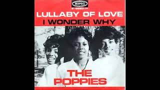 60s Girl Group The Poppies  I Wonder Why [upl. by Thanos482]