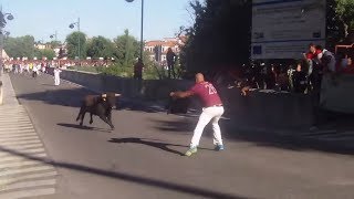 CORNADA en el toro del Alba  TUDELA DE DUERO Valladolid [upl. by Eatnhoj]