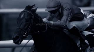 Whatever It Takes Horse Racing Music Video [upl. by Danna423]