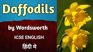 Daffodils by William Wordsworth in Hindi  Poem  ICSE  English  treasure trove  English For All [upl. by Kristoffer]