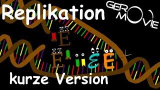 DNAReplikation Biologie GeroMovie kurze Version [upl. by Adnof]