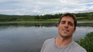 Snorkeling a clear Vermont Pond with Northern Pike Bluegill Bass Yellow Perch and other fish [upl. by Atekihs]