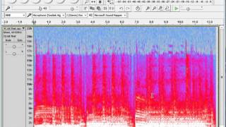 Spectrograms of Musical Recordings with Audacity [upl. by Etteuqaj]