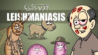 Leishmaniasis  Plain and Simple [upl. by Kreit957]