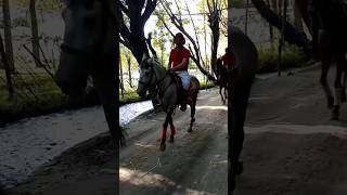 Polo Team of Shigar ¦ Shigar ¦ LUMS ¦ Gilgit STEM Bootcamp ¦ Polo ¦ Horse ¦ Sports ¦ Animals [upl. by Gardal]