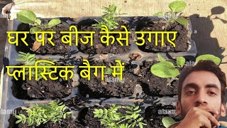 बीज कैसे उगाऐ घर पर। Seeds germination Process in hindi ।How to germinate vegetable seeds in hindi [upl. by Harrod]