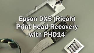 Epson DX5 Ricoh Print Head Recovery on a PHD14 [upl. by Nalani467]