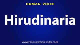 How To Pronounce Hirudinaria [upl. by Barncard]