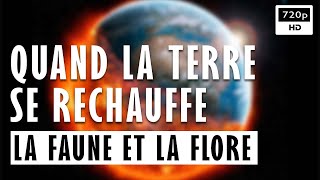 🌍 Quand La Terre Se Réchauffe  La Faune Et La Flore  Documentaire Environnement  Arte 2022 [upl. by Anij696]