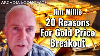 Jim Willie 20 Reasons For Gold Price Breakout [upl. by Attenyw631]