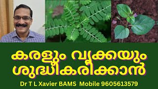 ഈ ഇലകൾ ഇങ്ങനെ  Power of Ayurvedic Herbs for Liver amp Kidney [upl. by Edmanda]