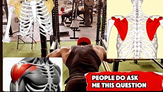 HOW TO PREVENT PECTORAL MUSCLE TEAR STRENGTHEN YOUR CLAVICLES AND SCAPULA sub KOPIOVT [upl. by Nwatna]