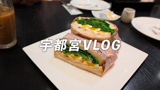 宇都宮市ランチVLOG｜カフェコムサ｜フライングタイガー｜3coins [upl. by Tate]