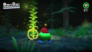 Super Mario Odyssey  Wooded Kingdom Moon 33 A Treasure Made from Coins [upl. by Nonnahs139]