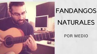 Guitarra FlamencaIniciaciónFANDANGOS NATURALES POR MEDIO [upl. by Dex]