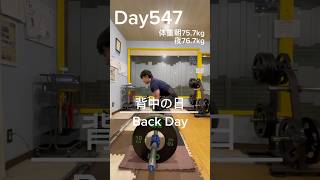 【筋トレ547日目】背中の日筋トレトレーニングgym パワーリフティング powerlifting muscle big3 背中トレ deadlift 胸トレ back [upl. by Aowda]