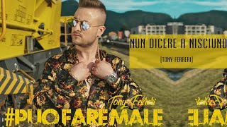 Tony Ferreri  Nun Dicere A Nisciuno [upl. by Nomolos502]