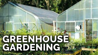 Greenhouses 101 Everything You Need to Know [upl. by Kantos]