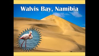 Uncover The Stunning Splendor Of Walvis Bay Namibia The Ultimate World Cruise [upl. by Mharba]