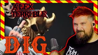 Alex Terrible covers DIG Reaction [upl. by Koh899]