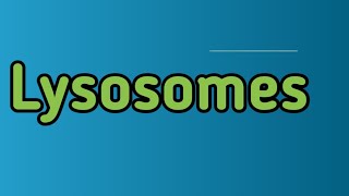 what is lysosomeswhich are enzymes in lysosomes [upl. by Barling]