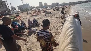 I Bought A Horse On Morocco’s Most Notorious Beach 🇲🇦 [upl. by Debarath]