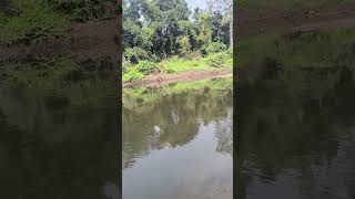 Subarnarekha river Halmad Ranchi Jharkhand Indiajharkhand river shorts video youtubeshorts [upl. by Rother]