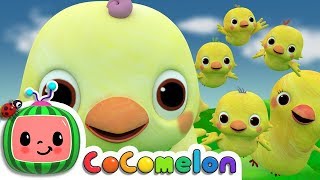 Five Little Birds 2  CoComelon Nursery Rhymes amp Kids Songs [upl. by Quiteria]