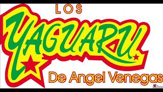 LOS YAGUARU MIX [upl. by Ihab543]