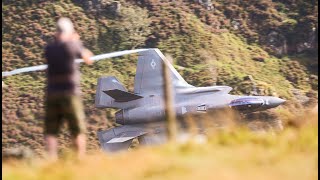 MACH LOOP AMERICAN F35S AND CANADIAN HORNETS HIGH SPEED LOW FLYING  4K [upl. by Gagne]