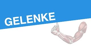 GELENKE  Biologie  Biologie des Menschen Mittelstufe [upl. by Ennaeiluj457]