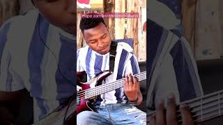 Hapo zamaniMiriam Makeba bass cover [upl. by Noskcire]