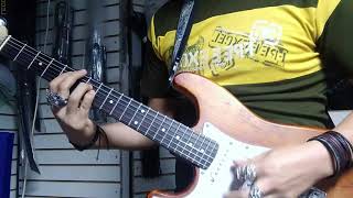 NARCOSIS  Sucio Policia Verde Guitar Cover by Ale IG [upl. by Flora]