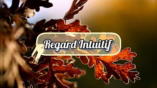 1111  🔮🍂 Regard Intuitif 🍂🔮©2024 [upl. by Santini432]