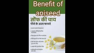 benefit of aniseed [upl. by Akinorev]