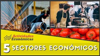 Los 5 sectores económicos Economía Ejemplos y características [upl. by Ademordna]