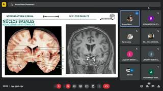 RELACIONES ANATÓMICAS CEREBRO I NUCLEOS DE LA BASE DR [upl. by Gerge]