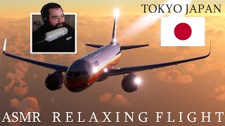 ASMR Relaxing Sunset Flight Flight Simulator [upl. by Aleece862]