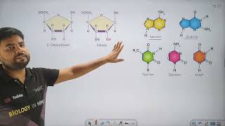 Structure Of DNA  DNA की संरचना  आनुवंशिक पदार्थ DNA  Genetic material DNA  Biology in hindi [upl. by Kathy]