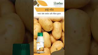 HEMSHA ORGANICS LIMITED  POTATO SPECIAL [upl. by Binetta]